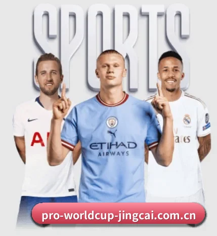 平台简介 - 体育资讯内容服务平台 | FIFA Worldcup 2026